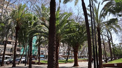 Descubre el barrio mediante fotos.